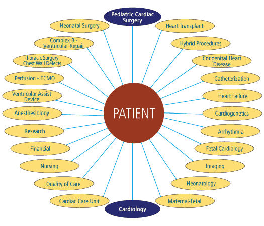 The pediatric heart center patient circular graphic