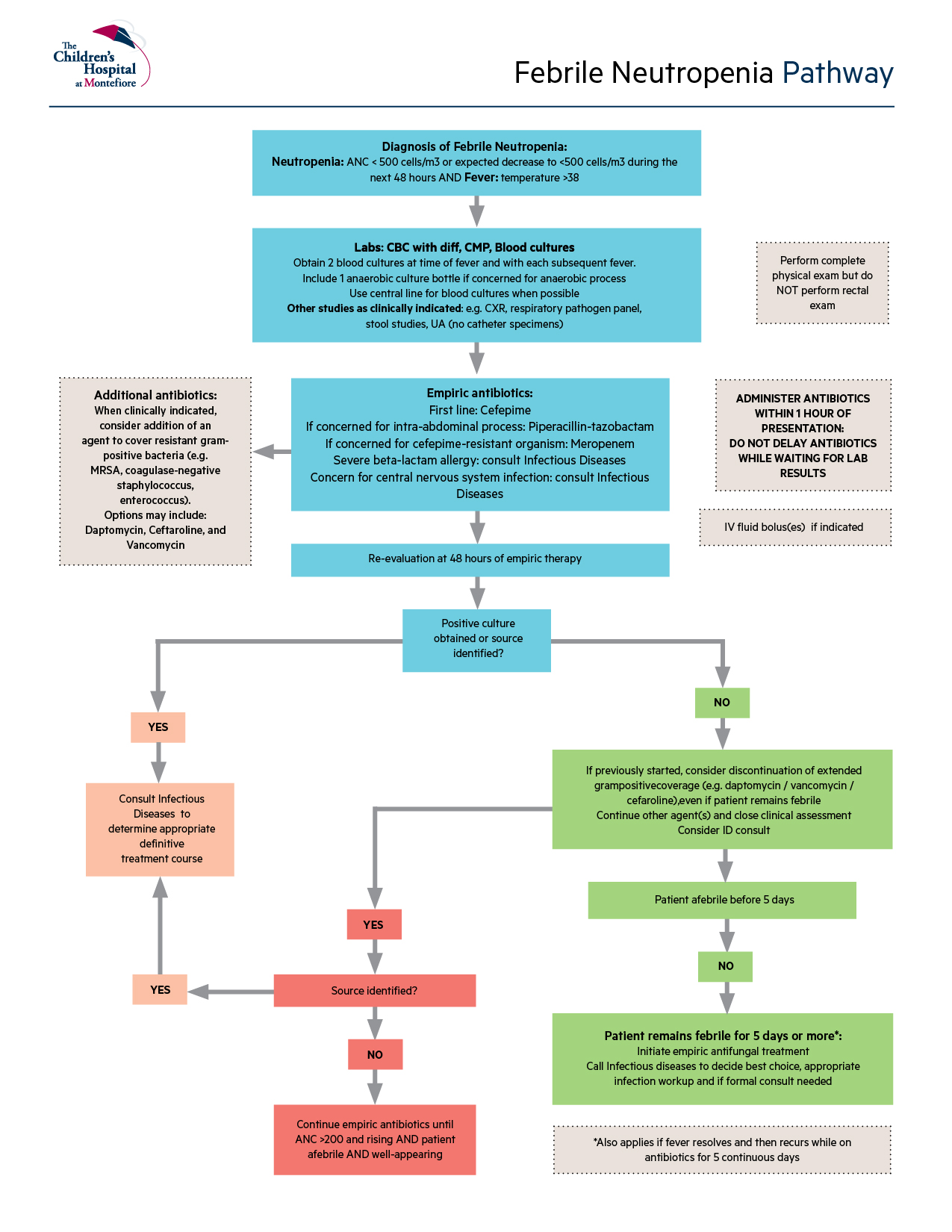 Open Febrile Neutropenia Pathway PDF