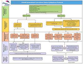 Open Status Epilepticus Clinical Pathway PDF