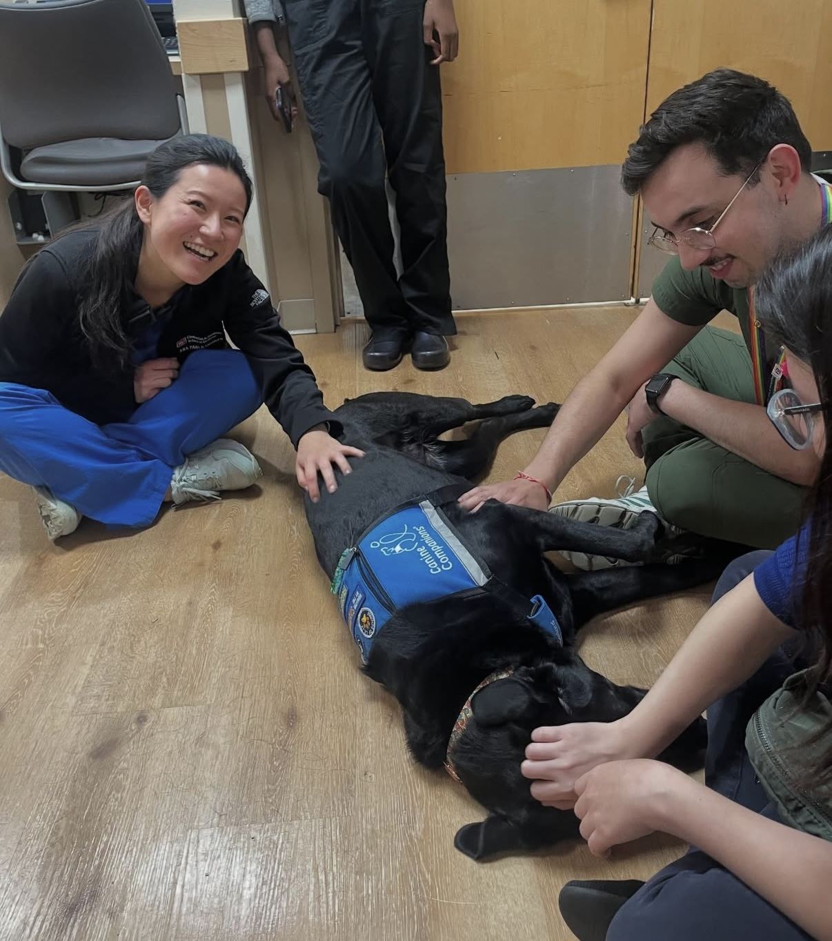 Medical Training Image 8